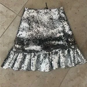 Paco Rabanne | Skirts | Paco Rabanne Sequin Silver Mini